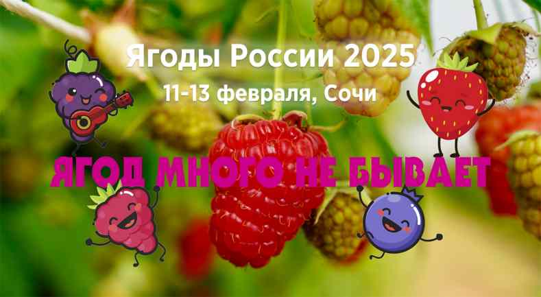 Конференция «Ягоды России 2025»